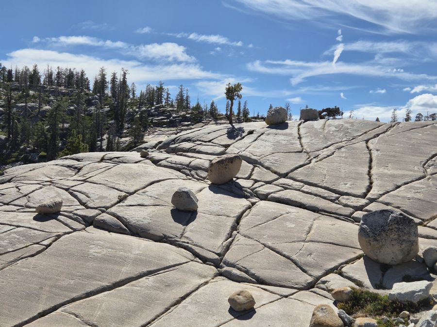 תצפית אולמסטד